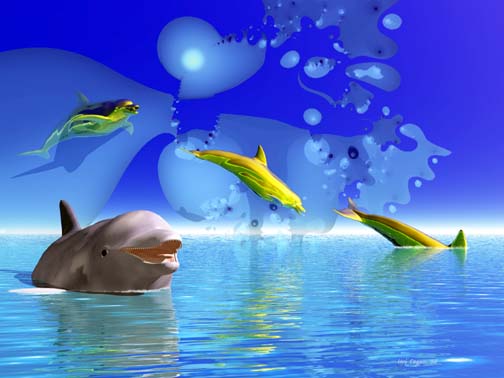 Dolphin Dream 3
